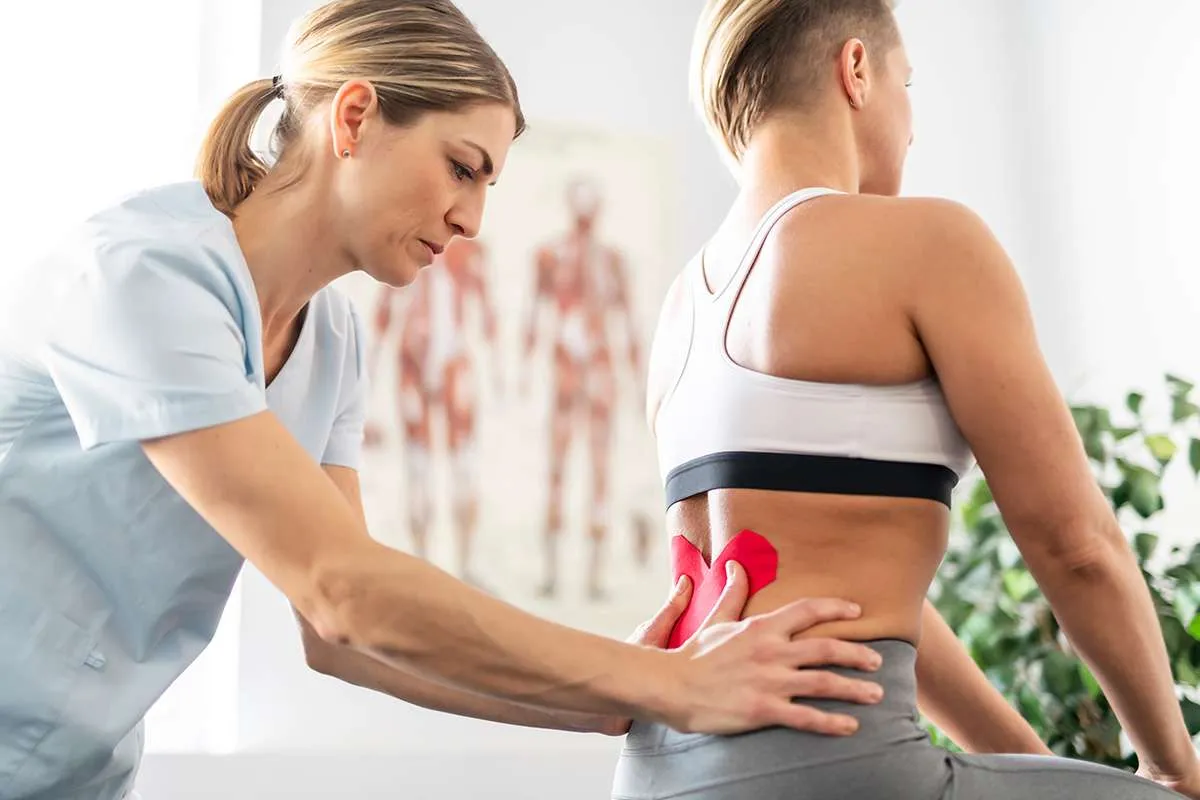 Rachis colonne vertébrale